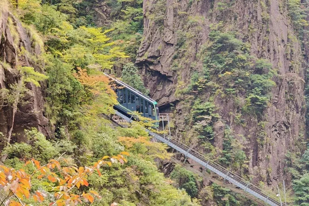 bae42e3dbbeb475aff7e46d51c40b7ea-sz_289425