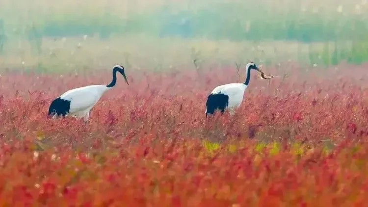 bafa6119db356d1f18056e7a4eb42304-sz_77151