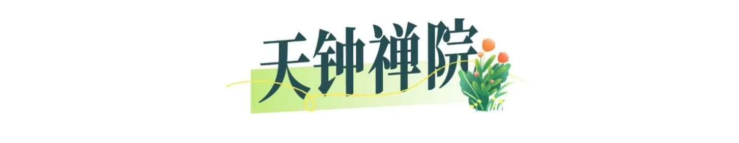 bb0cd51f36567388625b5b8954627102