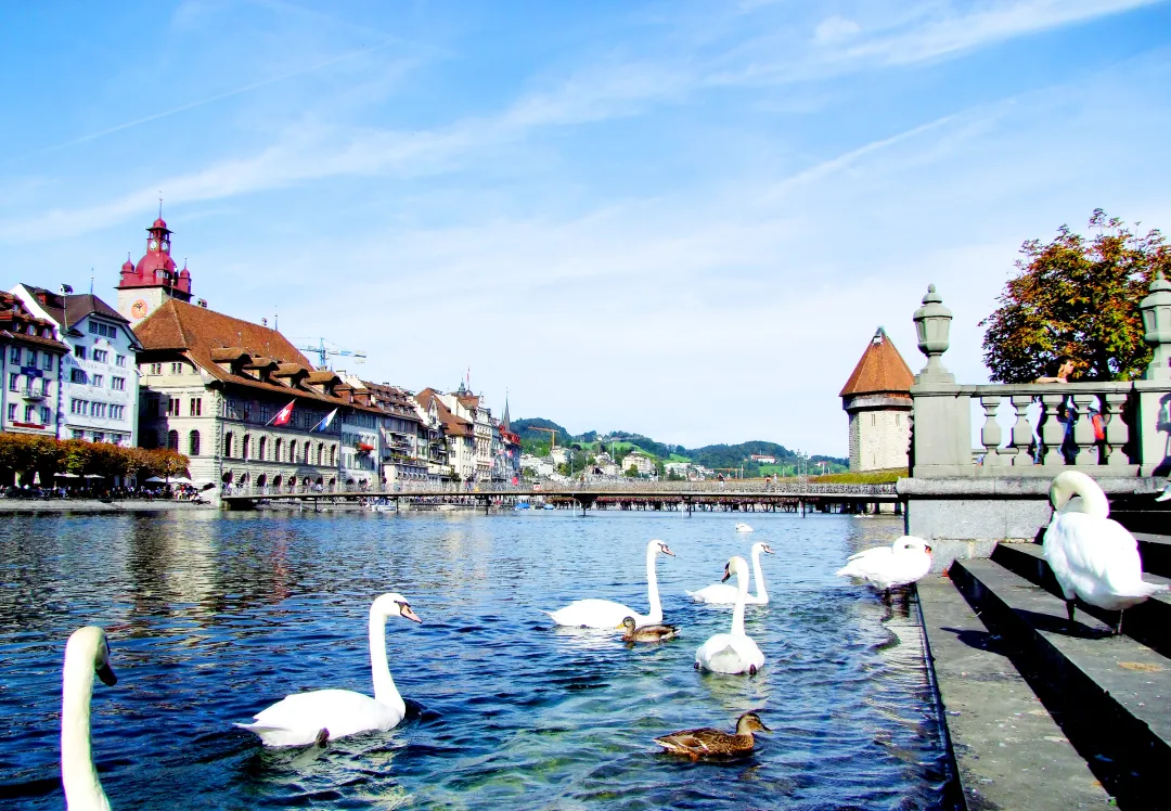 bb6da14dd0fc943ed84b1decf036d40a-sz_4332163