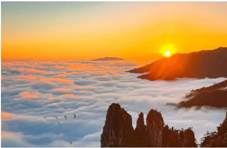 bb78d298c521f1f73954b6bd83229770