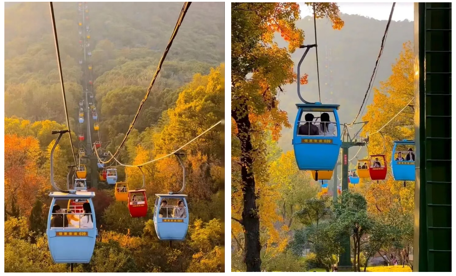 bb808ccf020f30d6793566aa25744667