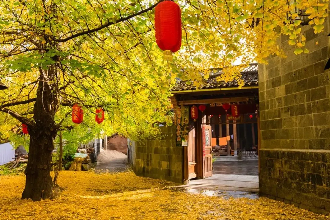 bbd9731ed28b70c7c940b91cb26915c5-sz_216590