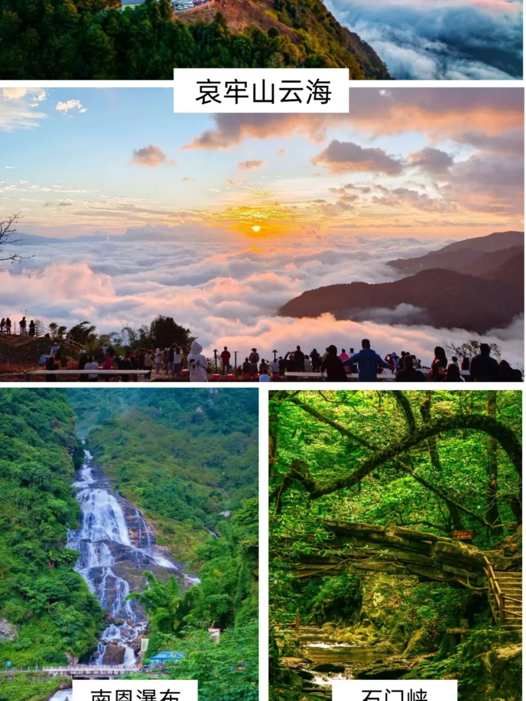 bbf275dc68fe5bfe0d041c7e1f75572b-sz_715335