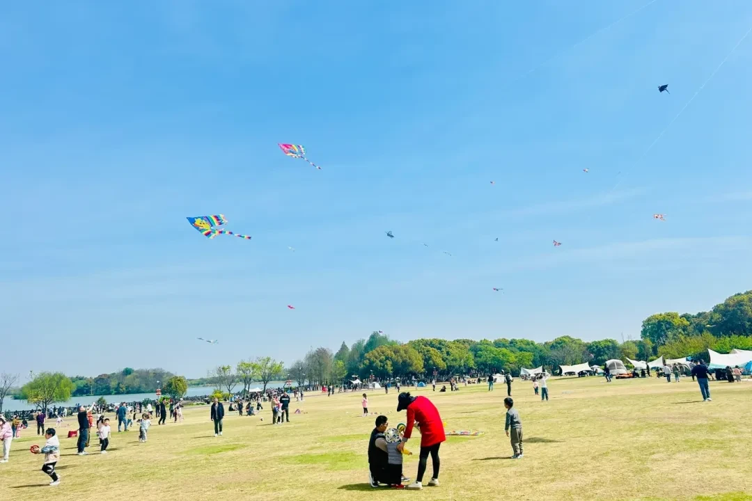 bc0336e4fc385de49e684010b29bc190-sz_1399013