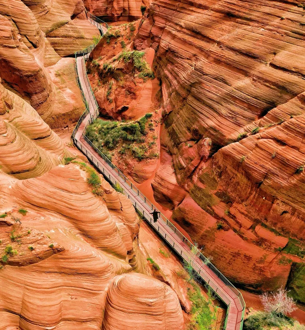 bc146e3a954efef84656df39539bdaf4-sz_3482004