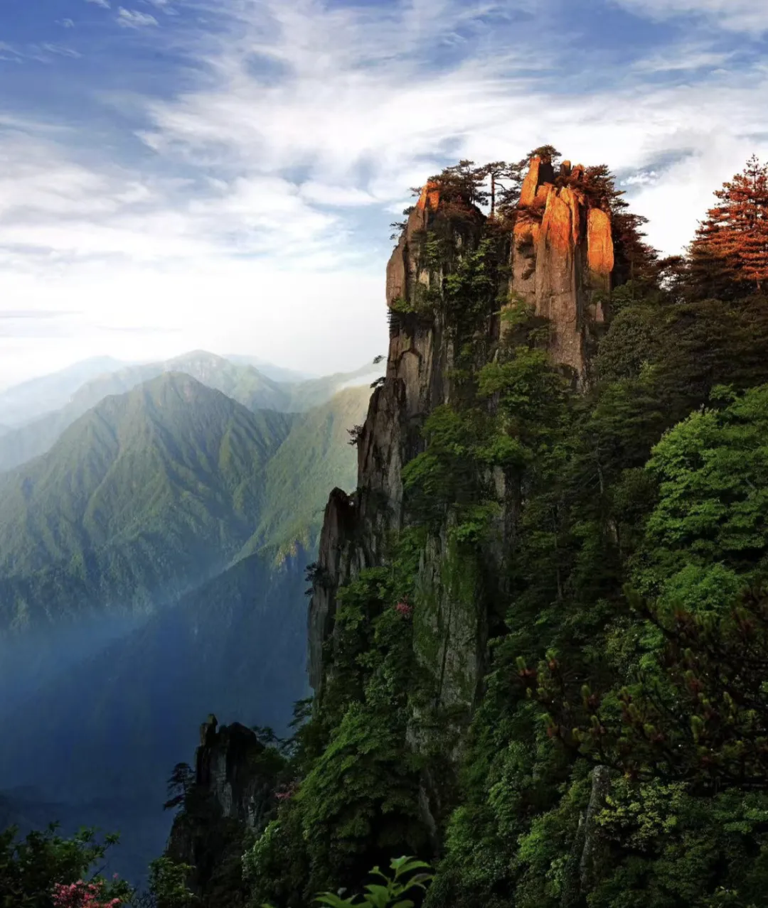 bc2a01bd68204837c6dc6410648459c0-sz_1897980