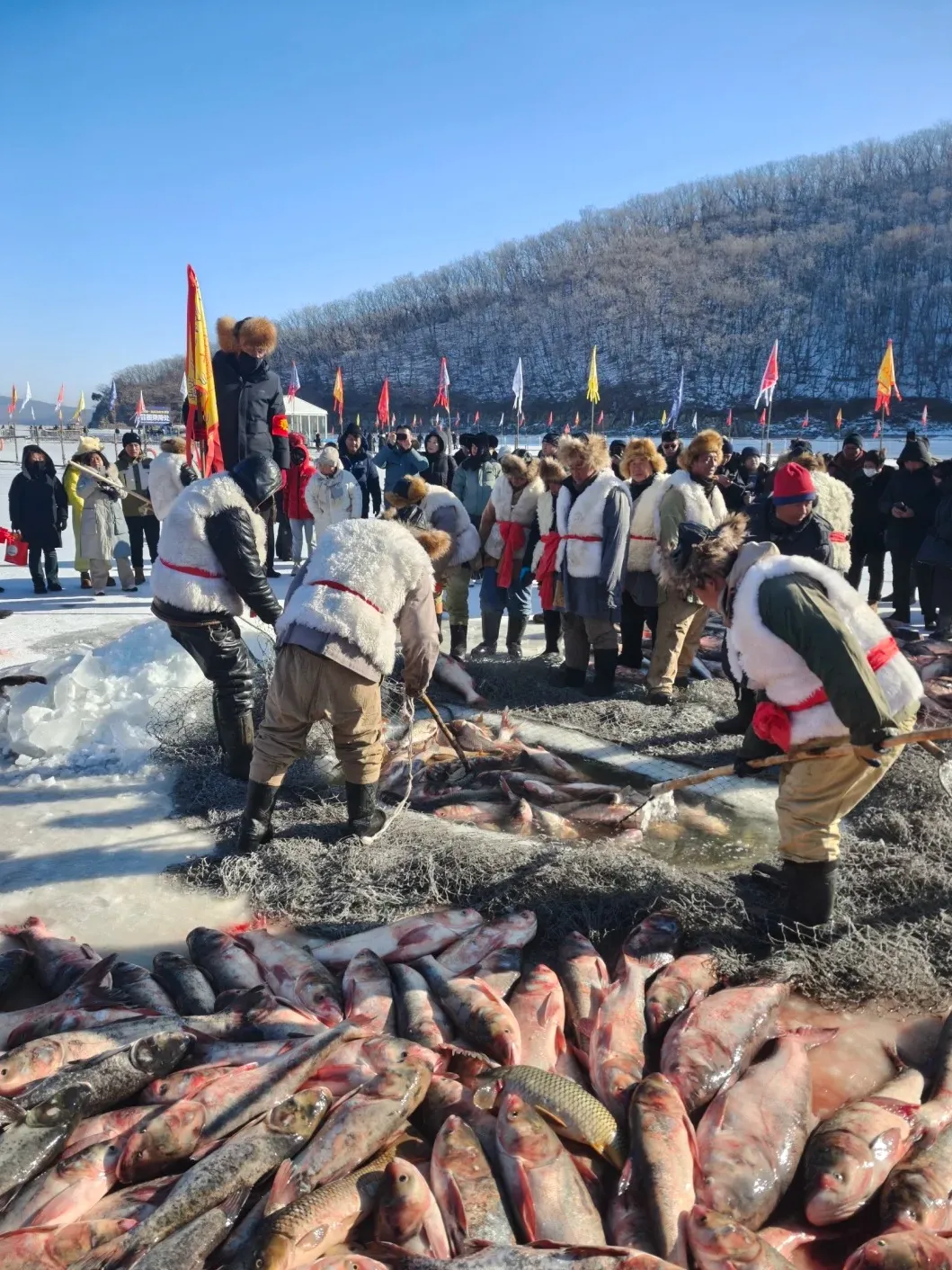 bc44c1631b909da87db64b5061114e40-sz_511422