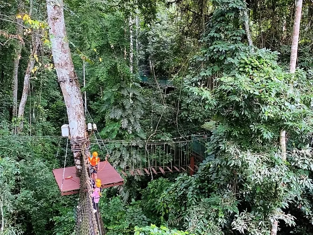 bc7acd2b9ad9608c8dbd92e1ff7d3653-sz_995194 bc7acd2b9ad9608c8dbd92e1ff7d3653-sz_995194