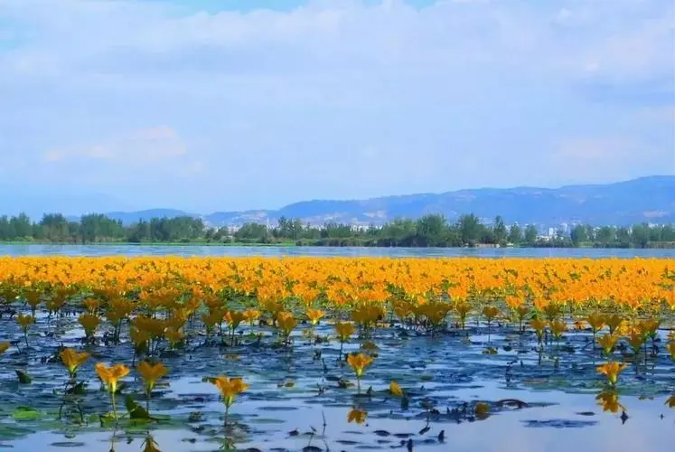 bc9a98c1109892ab9609b886e9ee4e97-sz_56094