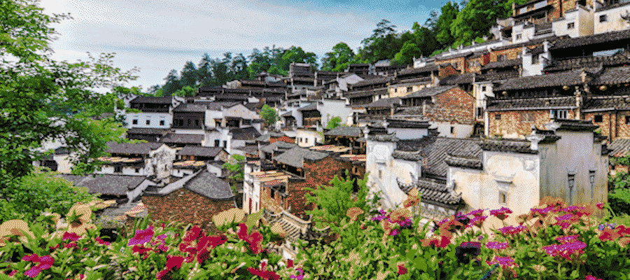 bcb067f2fc86669fae1ae56be7e1e594-sz_2042330