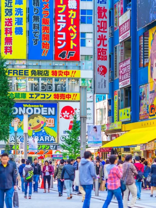 bcc4e737411add9a410238fe8a342e2f-sz_726495 bcc4e737411add9a410238fe8a342e2f-sz_726495