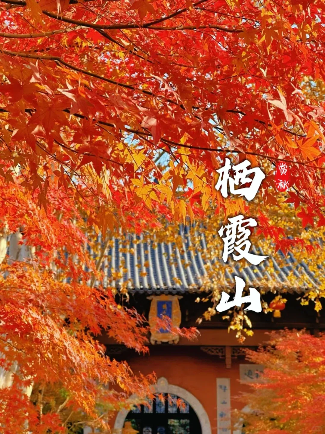 bcca2fdf86a2f4617acac42a91d5f1ec-sz_2681991 bcca2fdf86a2f4617acac42a91d5f1ec-sz_2681991