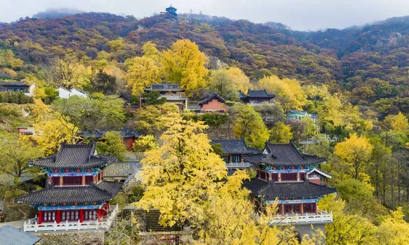 bd08b49c503511c26b1d05091bcddc80-sz_132202-1 bd08b49c503511c26b1d05091bcddc80-sz_132202-1