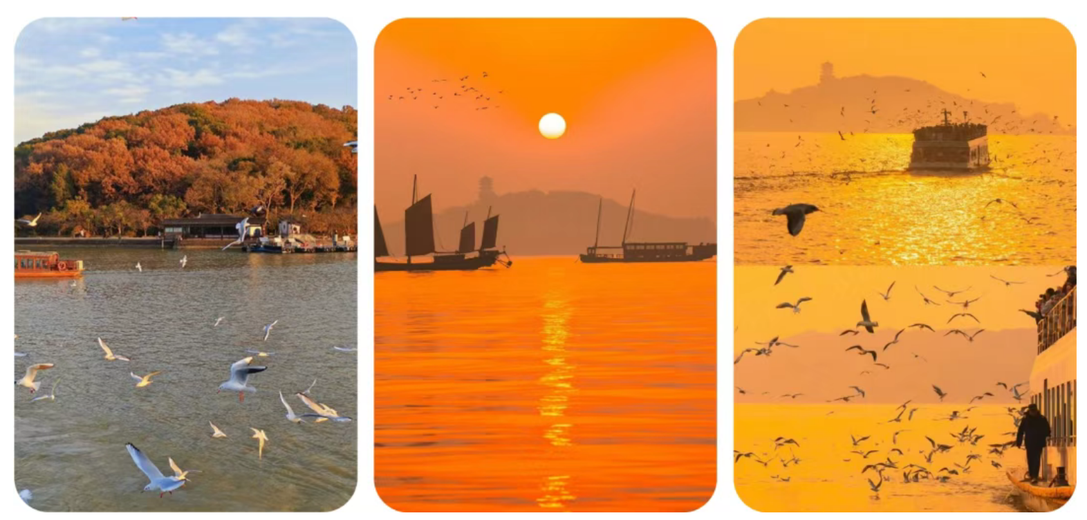 bd25b6e9ebd39b296ca00e6da53e26b1