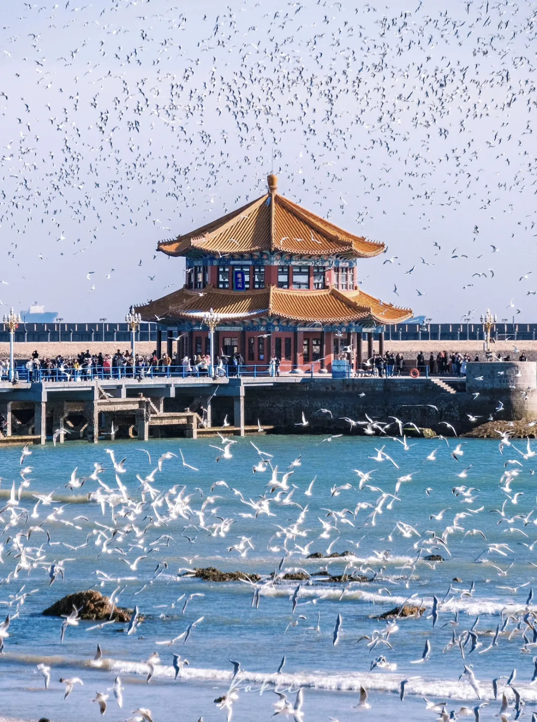 bd31d9f7b5b0fbc43f7b5b71e2fe892e-sz_2598974