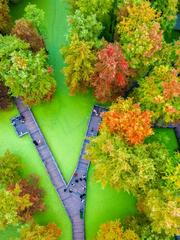 bd5b44d27c6712987d95521757e7bae2-sz_4039512