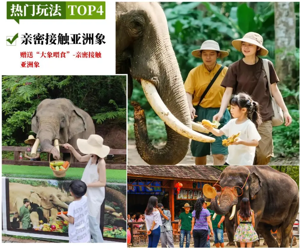 bd662f0bf1636a1a53f50b893ef374e3-sz_504036 bd662f0bf1636a1a53f50b893ef374e3-sz_504036