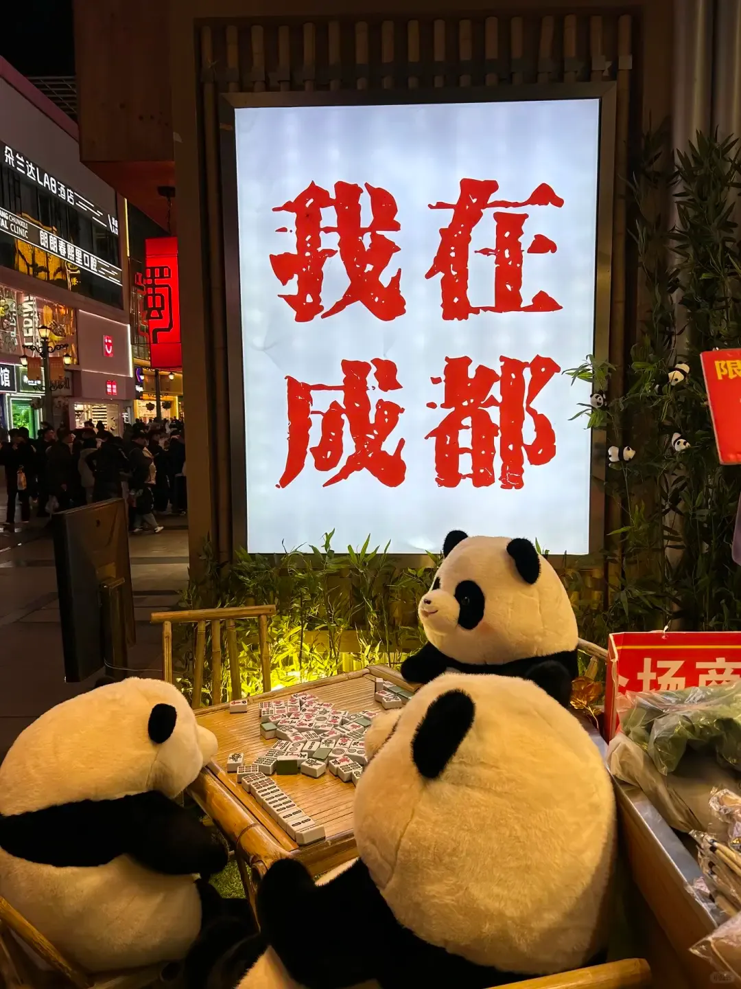 bd6df27b6b7fe795d69bb8799c00feca-sz_2457587