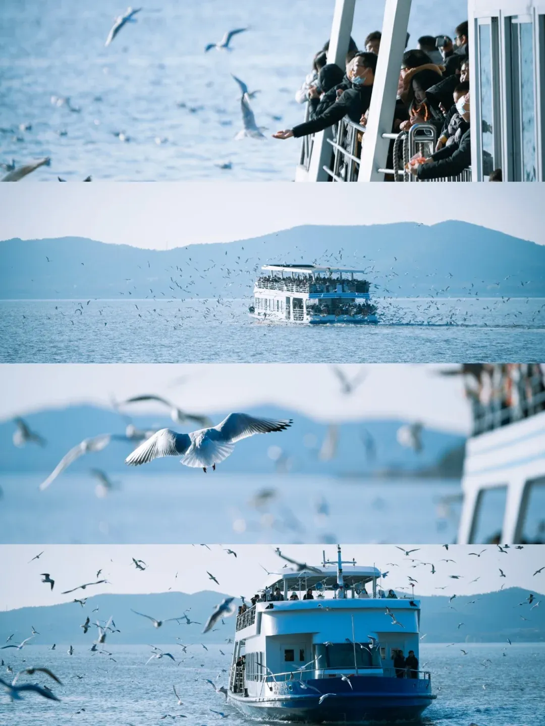 bd8f3ac00e44d3cf5f42d5fbff993159-sz_2142175