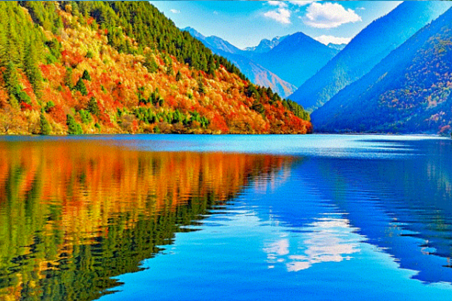 bd9d59d87d1037fbbbd00c5241942d0c