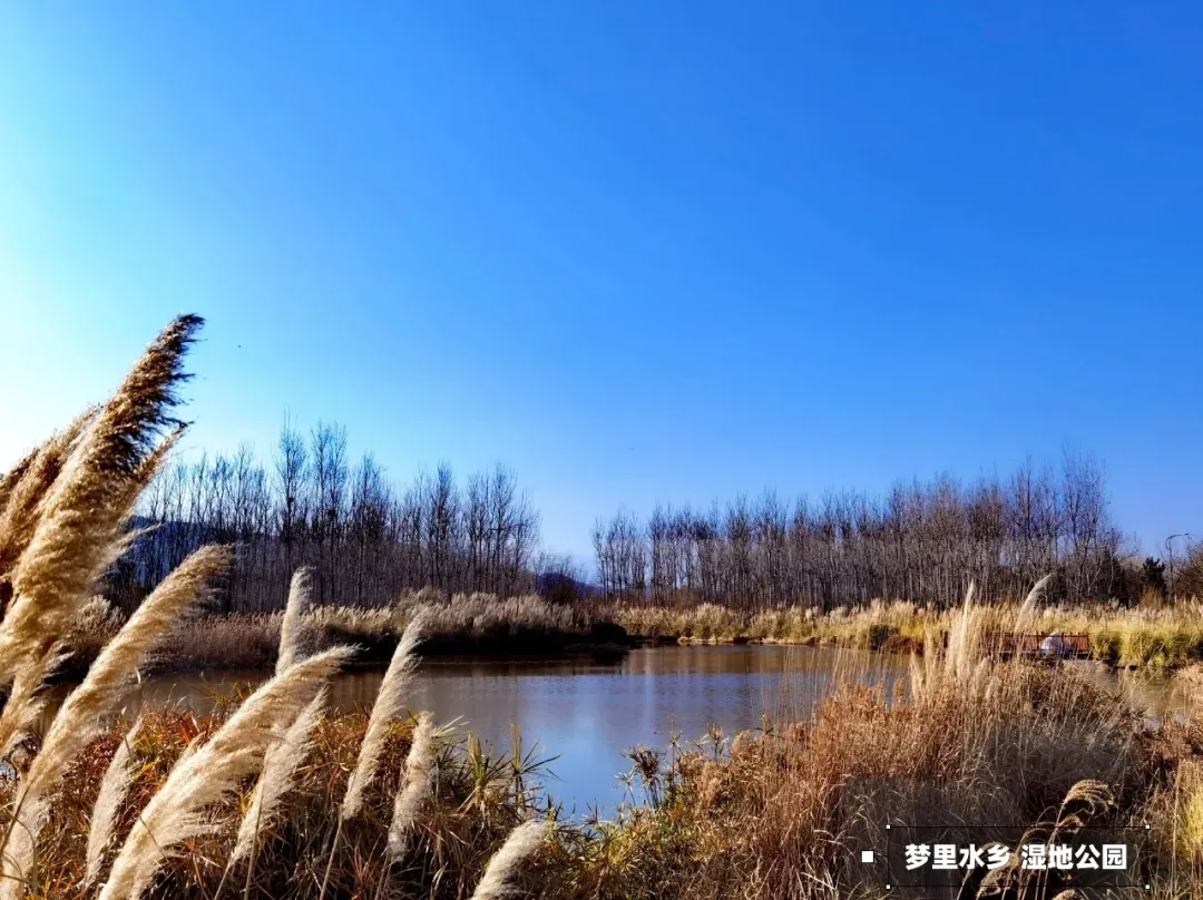 bdcae38be6dd037f83104bd3b7fdc162-sz_1597622