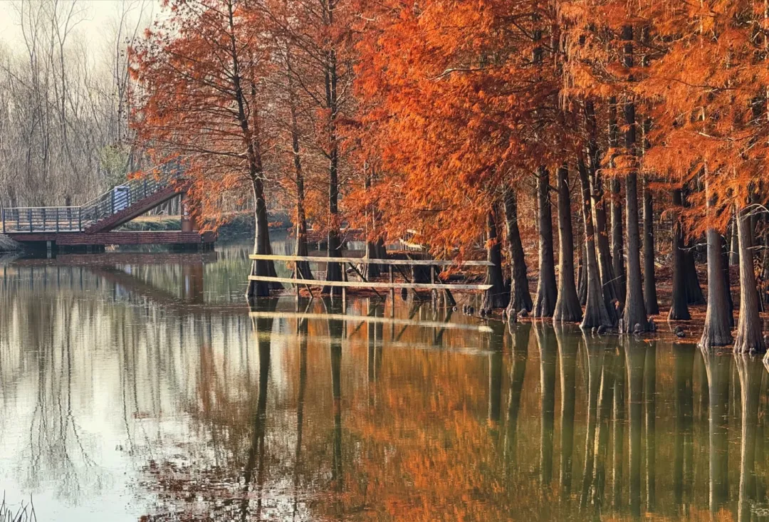 bde57bf9a3d861f0250b1ce347ea0c26-sz_1407496 bde57bf9a3d861f0250b1ce347ea0c26-sz_1407496