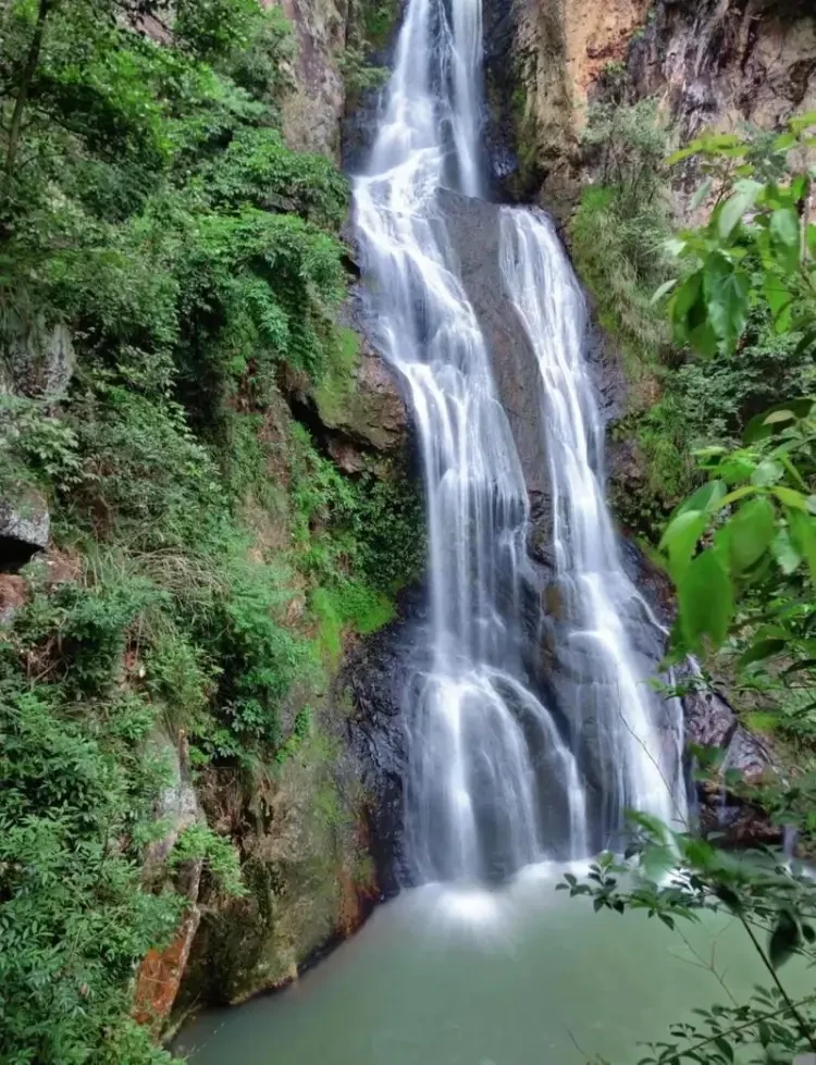 bdfc2488383f020c4153b084690d7789-sz_183195