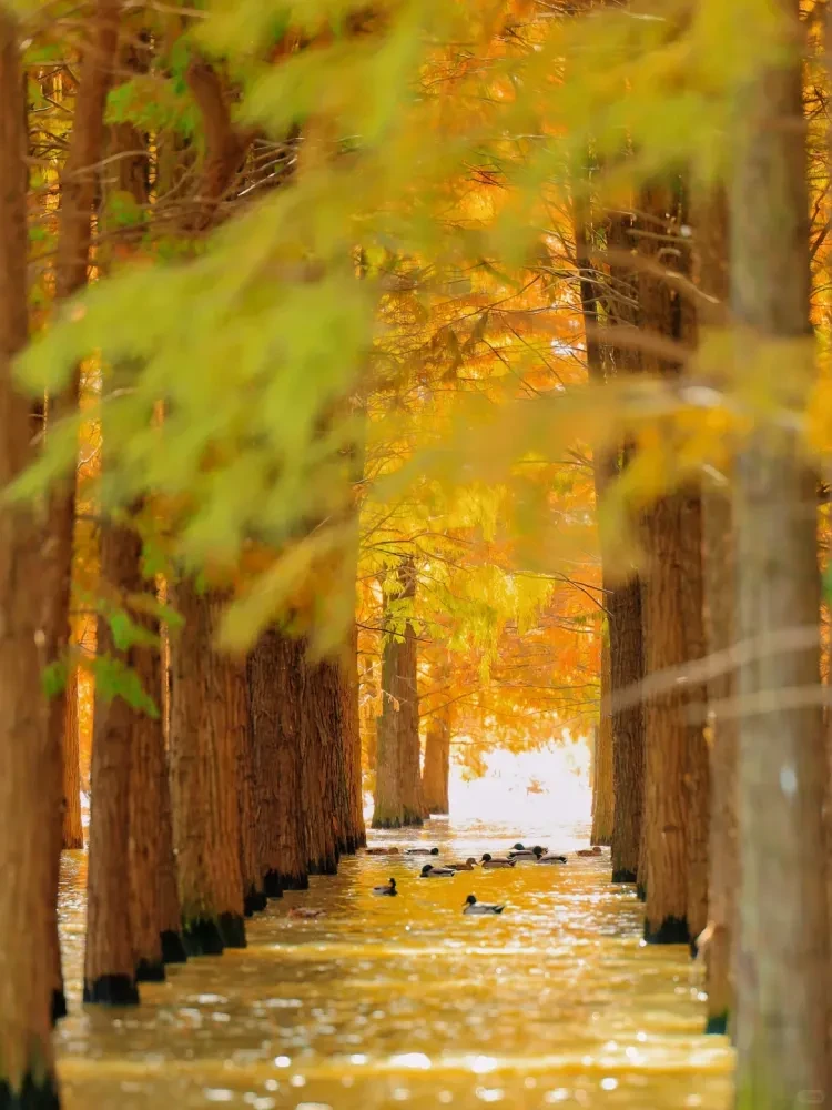 be11a4766fe7efbd5576612380542839-sz_1960167