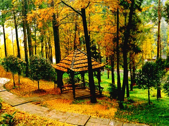 be462844ac0566f27a11e634876a308e-sz_204513