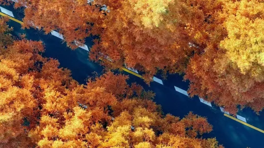 be689ad7fb140f78d8e8cb461d4a8c07-sz_1328073