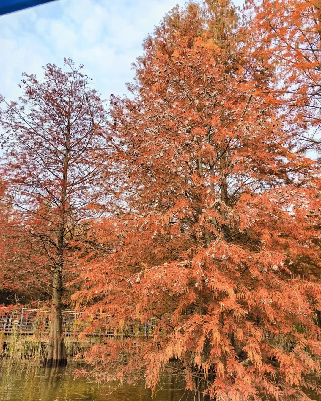 bec26d5aed925bff8d65313bfbacfe50-sz_2607216-1 bec26d5aed925bff8d65313bfbacfe50-sz_2607216-1