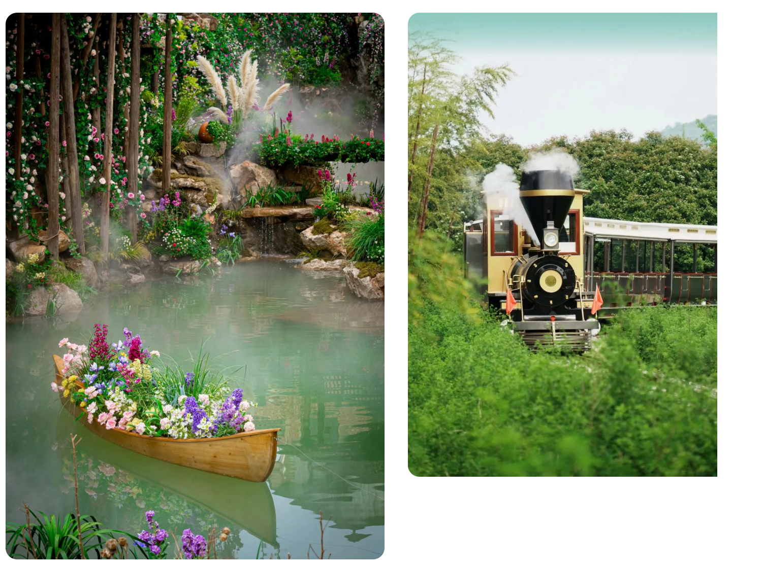 bf213c75c599139e6ce23769b256f70d