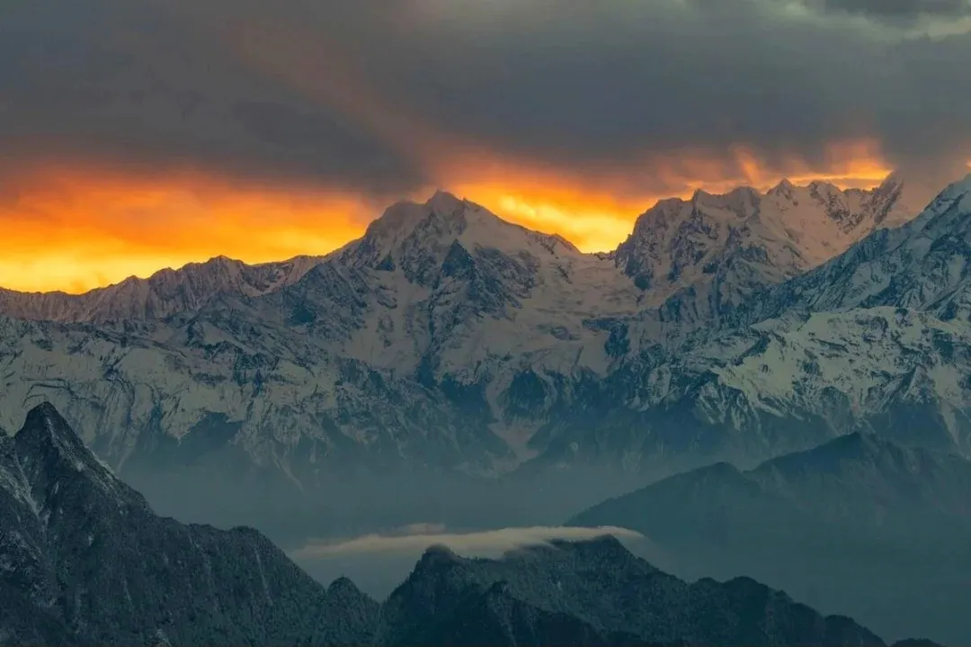 bf7c42dabf43950cf7863a3a35b72f53-sz_235548