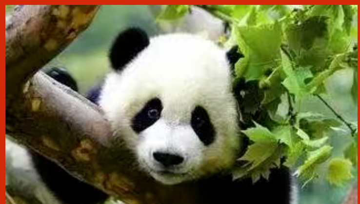 bf82e540c90fb824bb3617e9af3e19a0