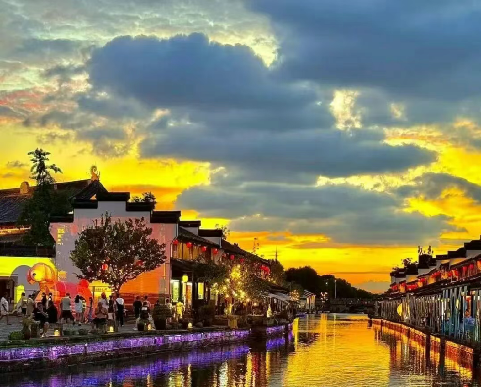 bf90a923a7905a6801e3abbf4328e9ed