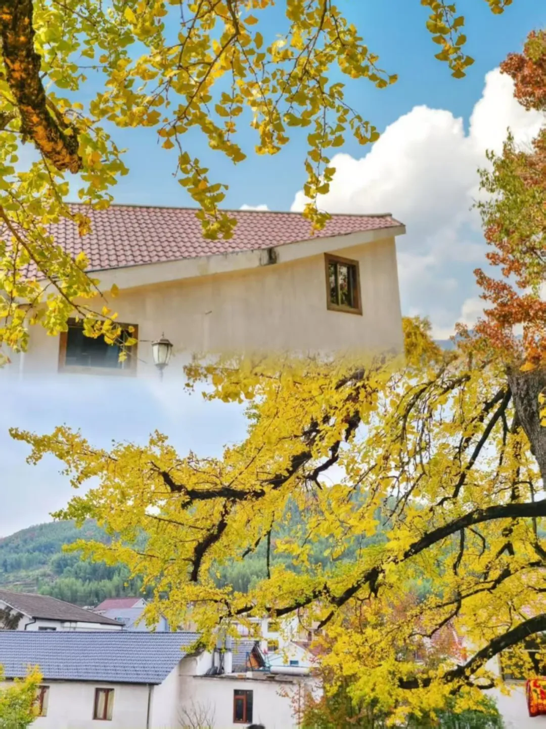 bfb83b9ee3efd59012745b22a4124080-sz_372694 bfb83b9ee3efd59012745b22a4124080-sz_372694