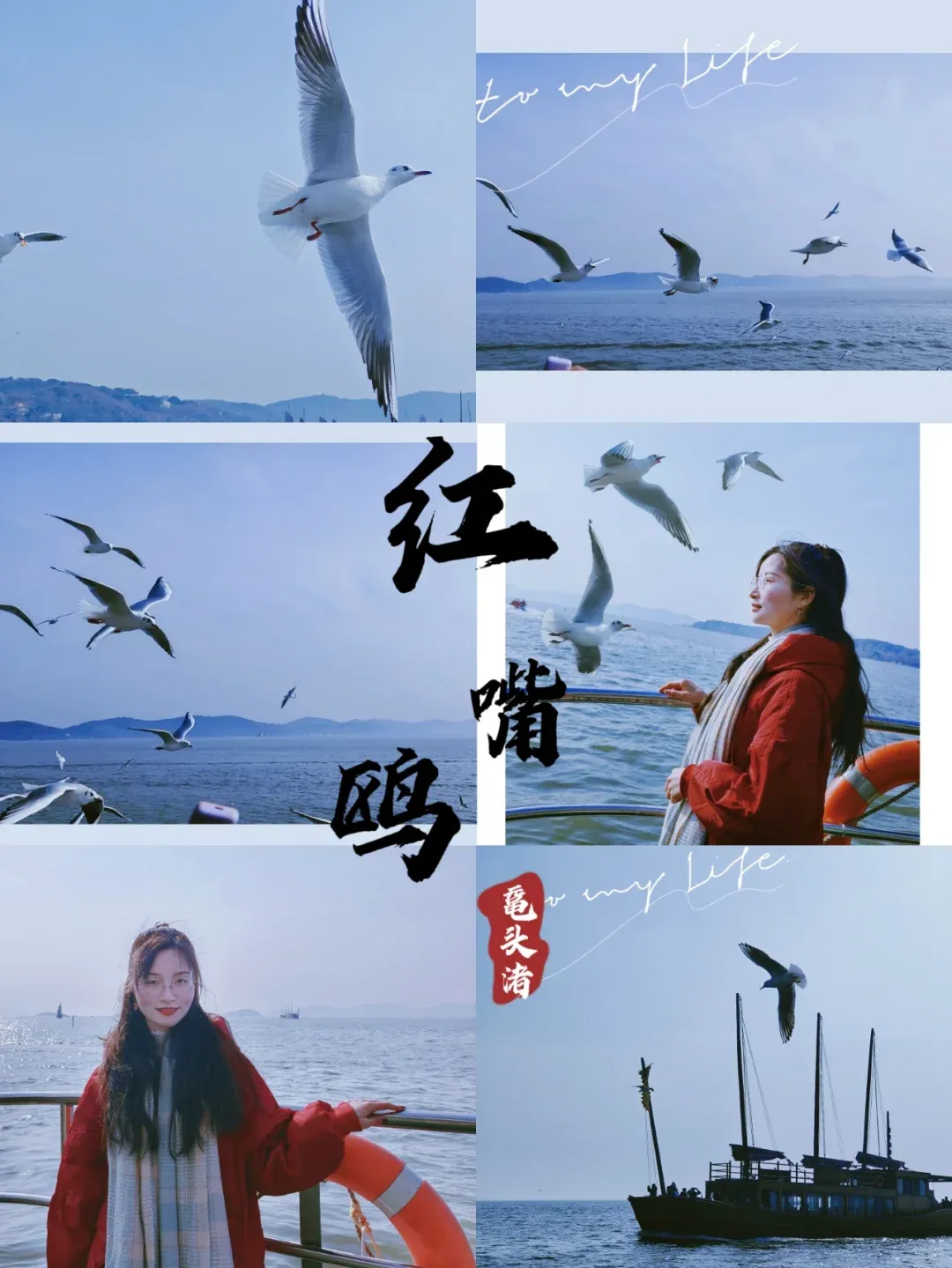 bfc6a0ec9d76cf9c854edde024b314cb-sz_1559434-1