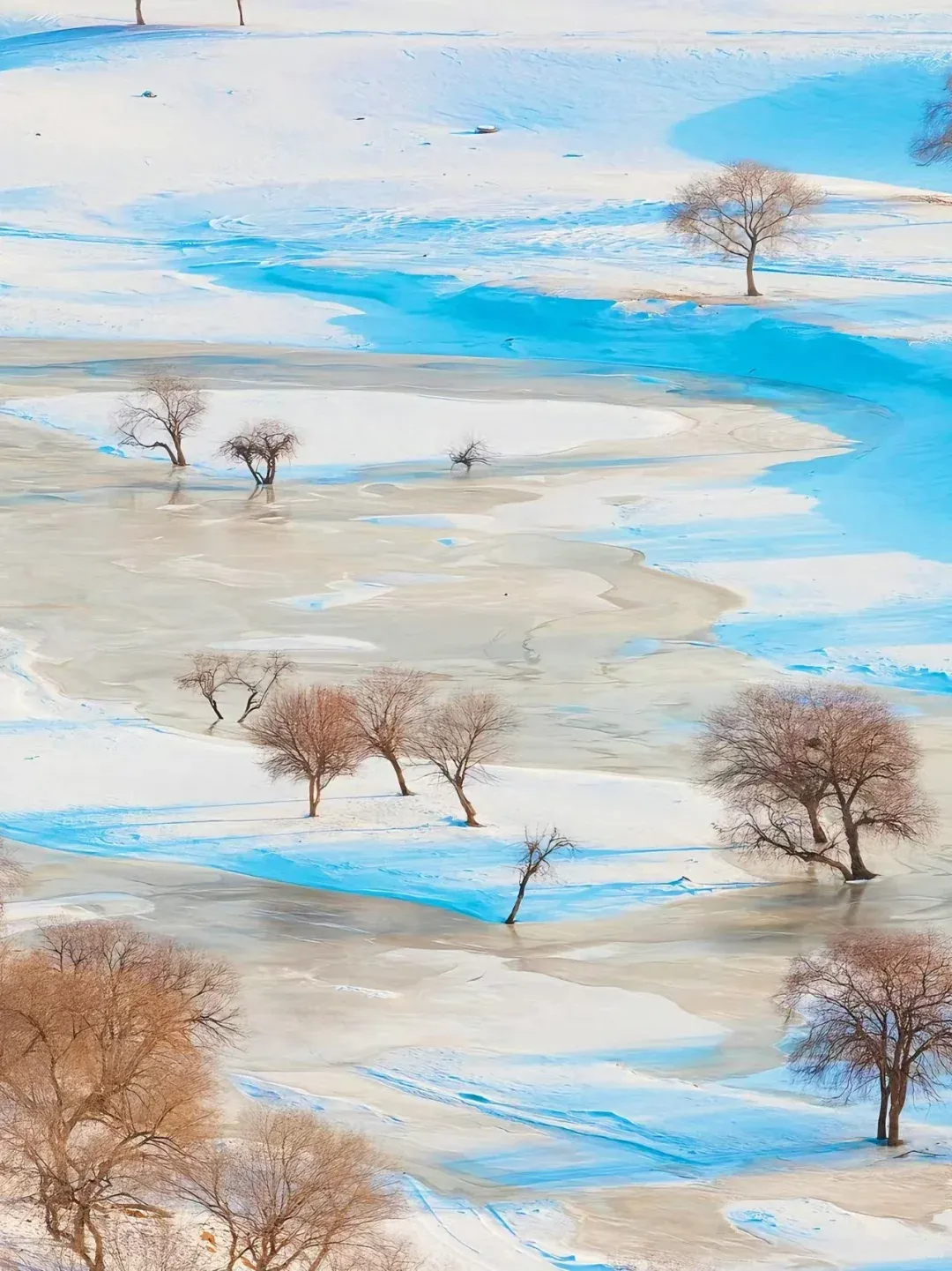 bfe33b8921226df8cc19f247c1e16a58-sz_2946718