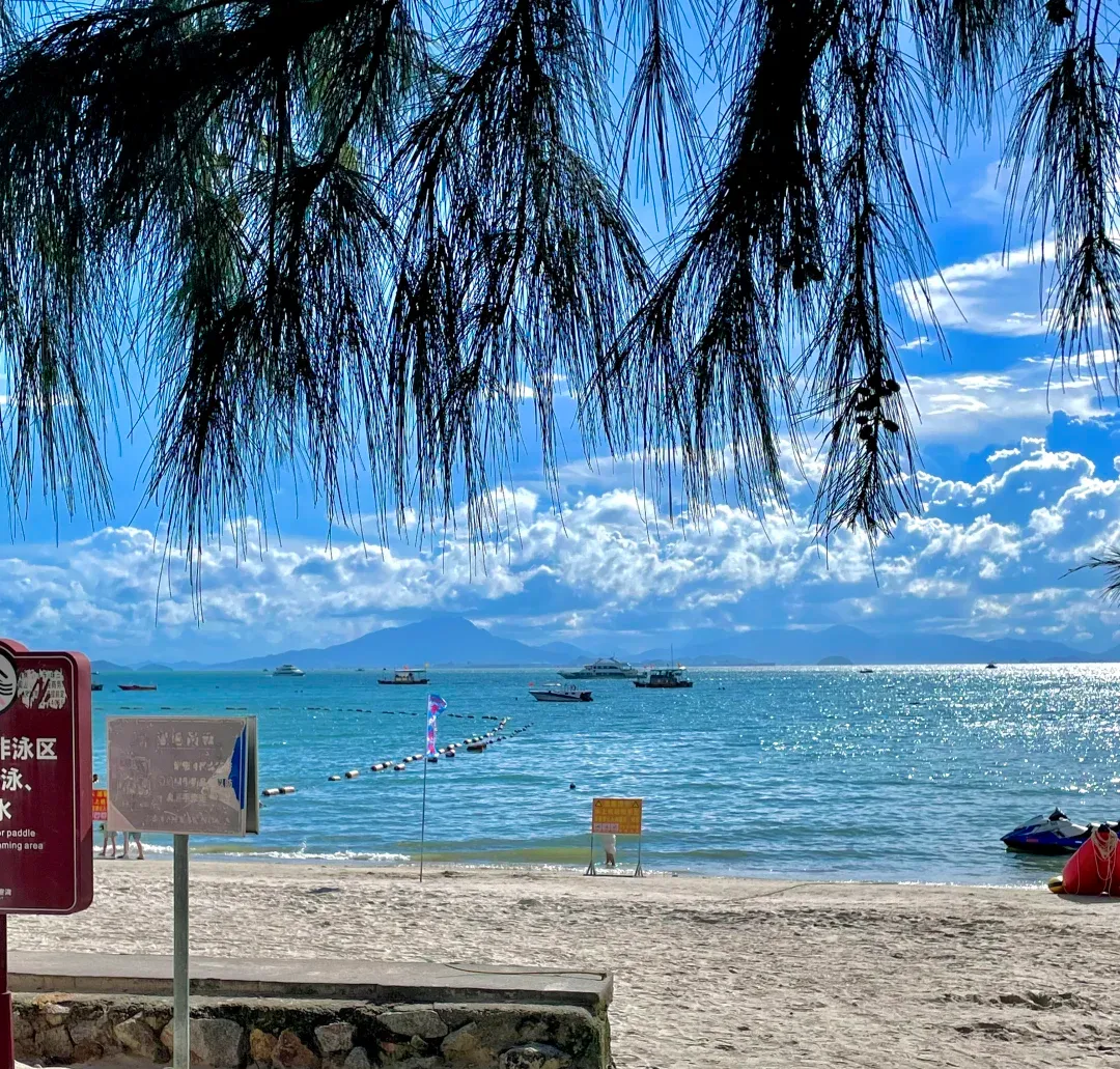 bfe84e956cc546b830272d11c3e542ca-sz_3314716-2