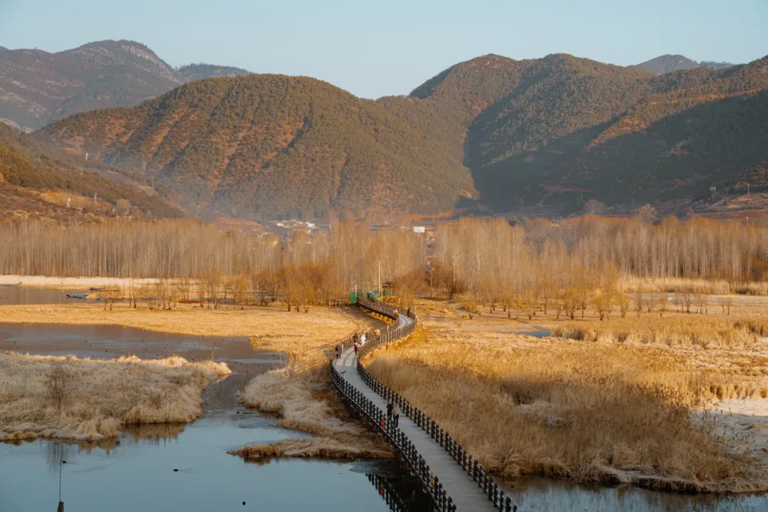 c01c2e85716e1800f2df8d986a57598a-sz_2701677