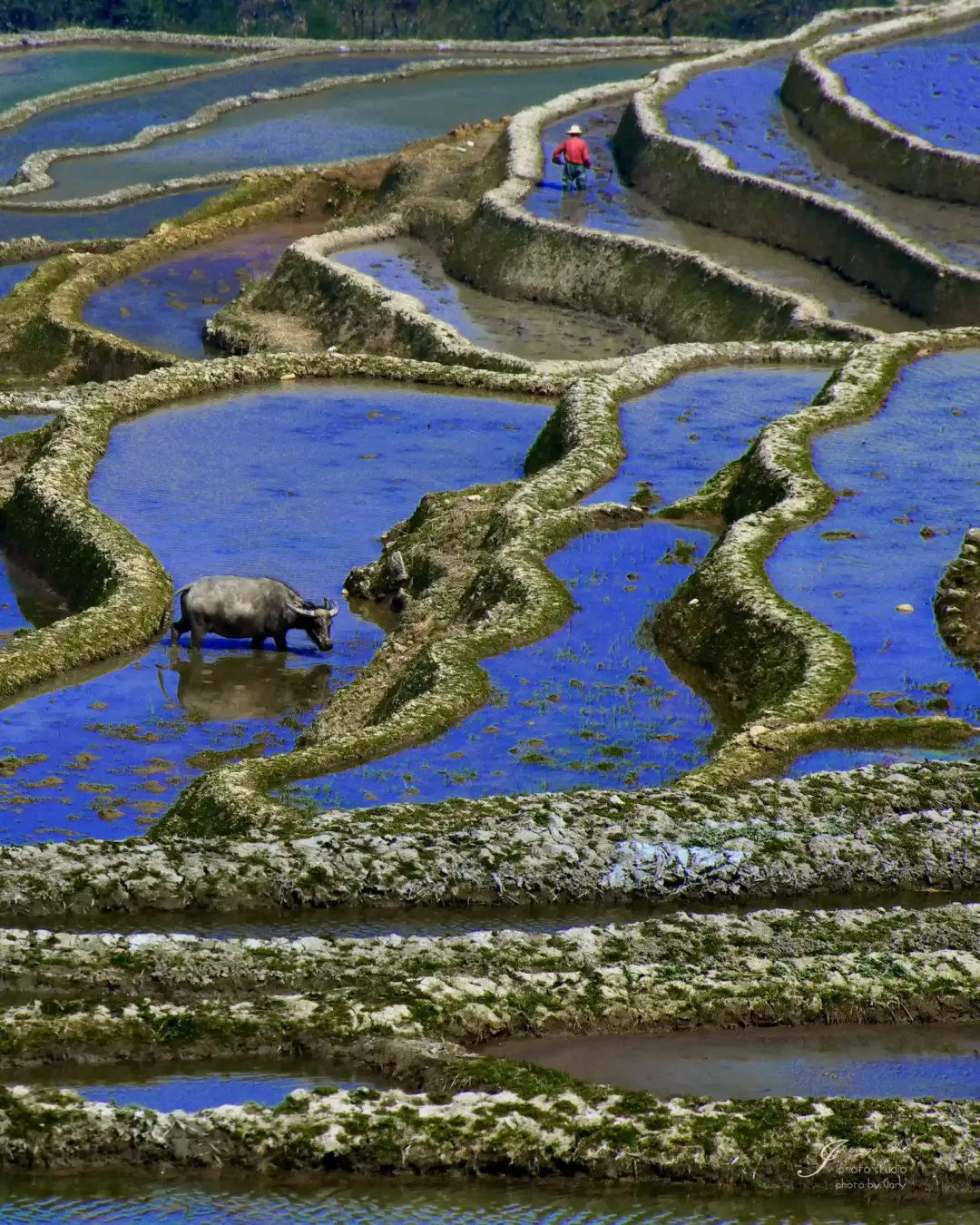 c064f39676c13068052a6e8874b47095-sz_554452