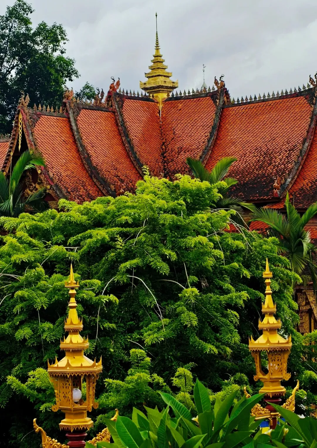 c069b92b9689f2d67c09c8b30d38aab2-sz_4565866-1 c069b92b9689f2d67c09c8b30d38aab2-sz_4565866-1