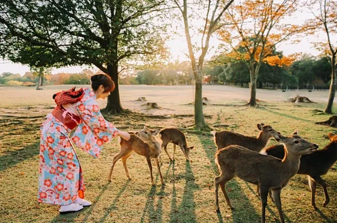 c09f601216760e159fed988c7e5c3785-sz_637887 c09f601216760e159fed988c7e5c3785-sz_637887