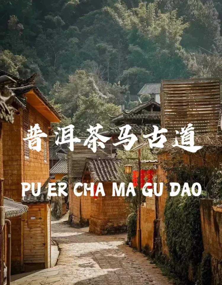 c0a8db3dbbecde670b5779e8d9eccb67-sz_4282740 c0a8db3dbbecde670b5779e8d9eccb67-sz_4282740