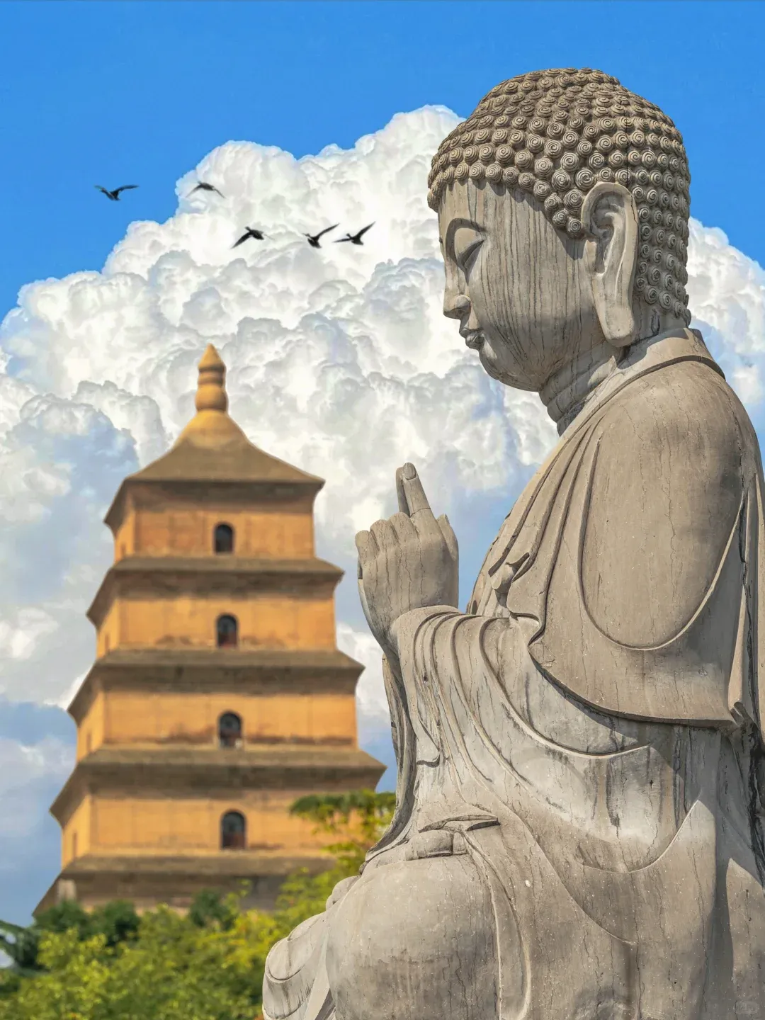 c0aa79b99e668ee8a23a330ba4e1281f-sz_1824125