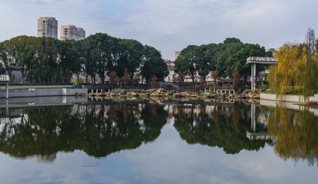 c0aab85613dc6c49aa08f5a54b7355a1-sz_329440