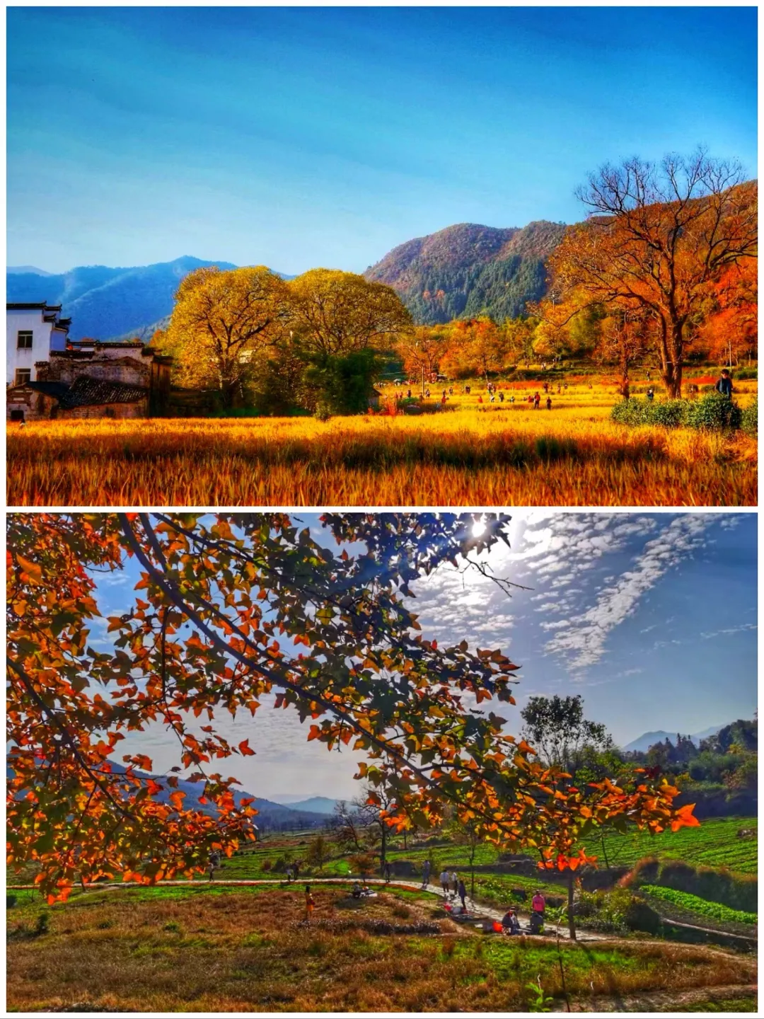 c0ae739567131fa5663ca52e41de7423-sz_1023414-1