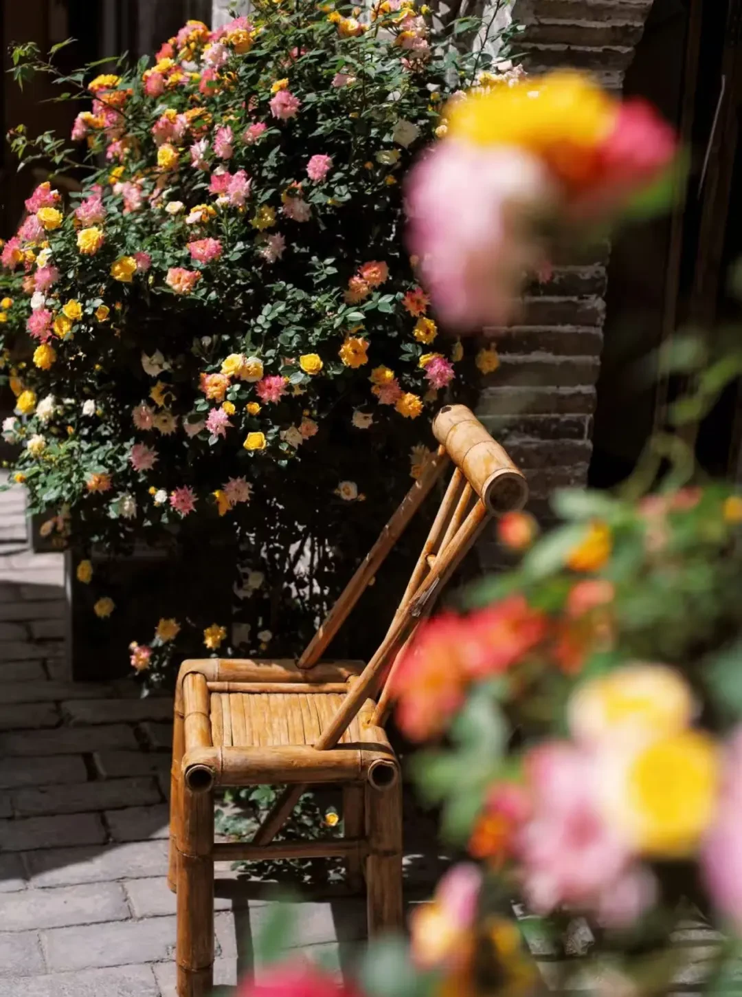 c0c8e87ac31697157ec07058ce45c093-sz_288005 c0c8e87ac31697157ec07058ce45c093-sz_288005