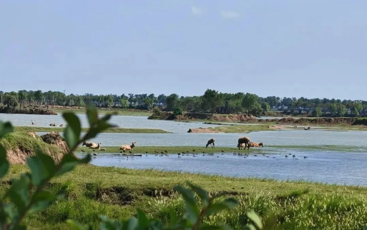 c0d9e73d093007e421896b9c4f32c383